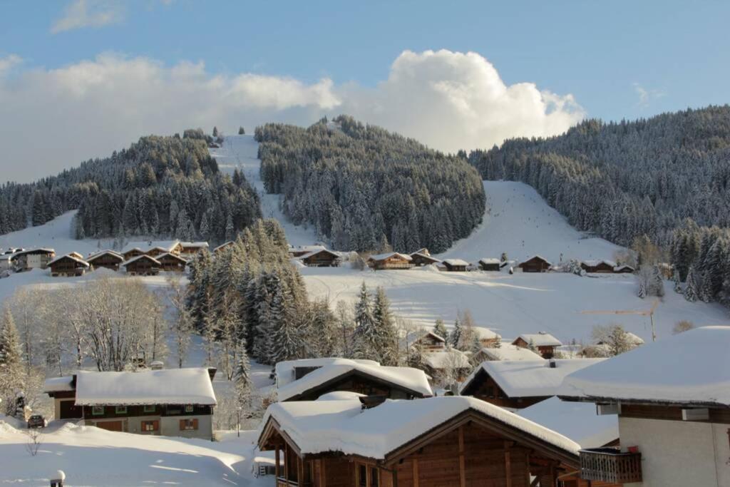 Bel App Aux Gets 10Mn Centre Ski Parking Tennis Prive Les Gets Exterior foto